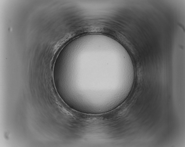 X0000102760721200809021006