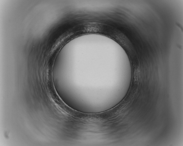 X0000102760722200809021006