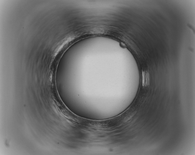 X0000102760723200809021006