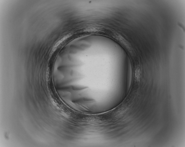 X0000102760724200809021006