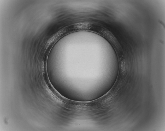 X0000102760725200809021006