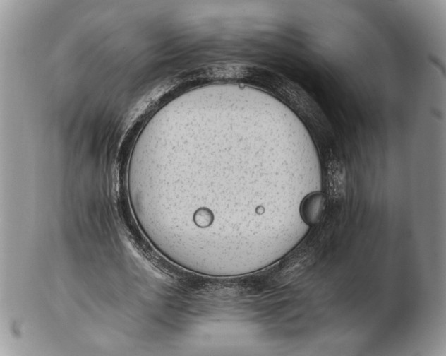 X0000102760726200809021007