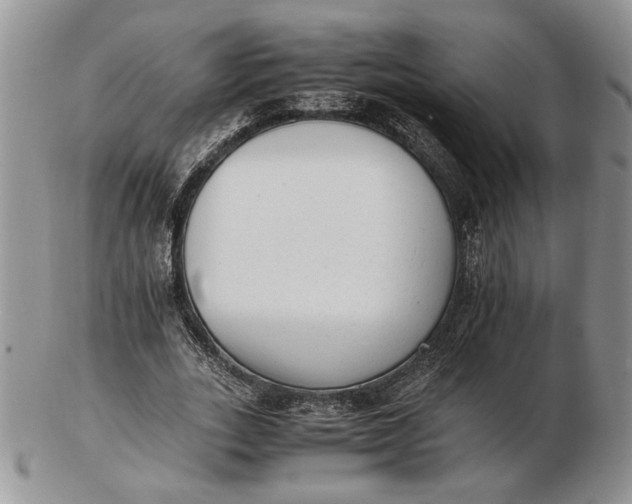 X0000102760727200809021007