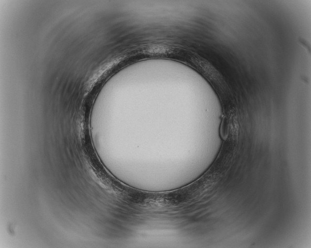 X0000102760728200809021007