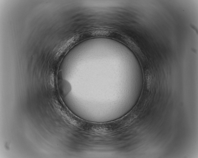 X0000102760729200809021007