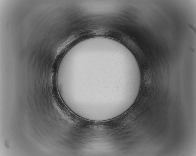 X0000102760730200809021007