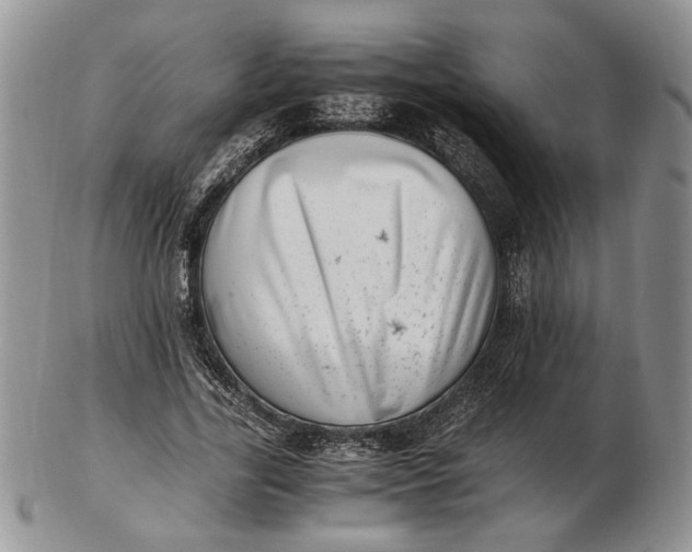 X0000102760731200809021007