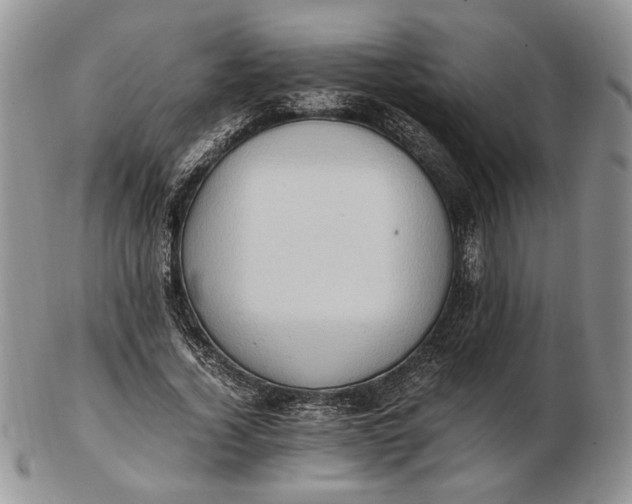 X0000102760732200809021007