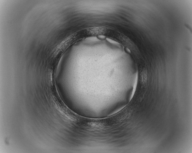 X0000102760733200809021007