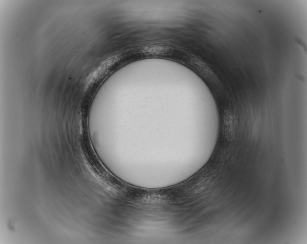 X0000102760734200809021007