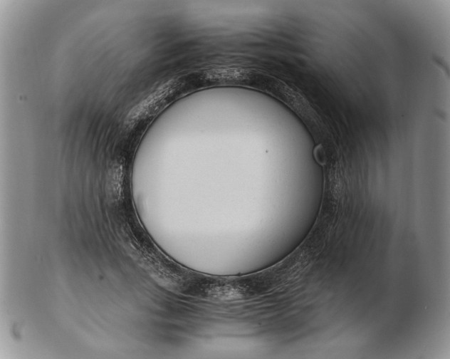 X0000102760735200809021007