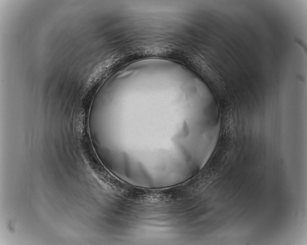 X0000102760736200809021007