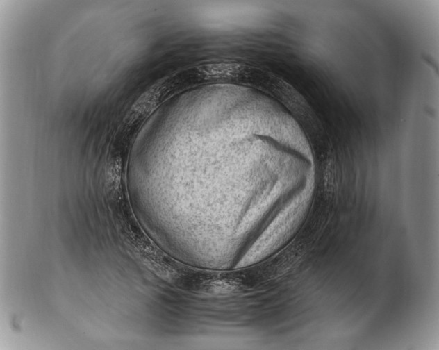 X0000102760737200809021007