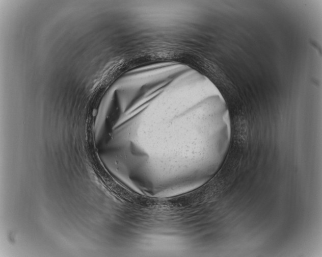 X0000102760738200809021007