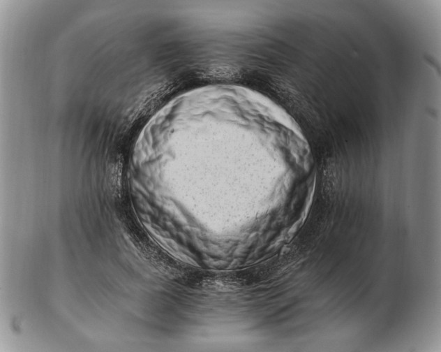 X0000102760739200809021007