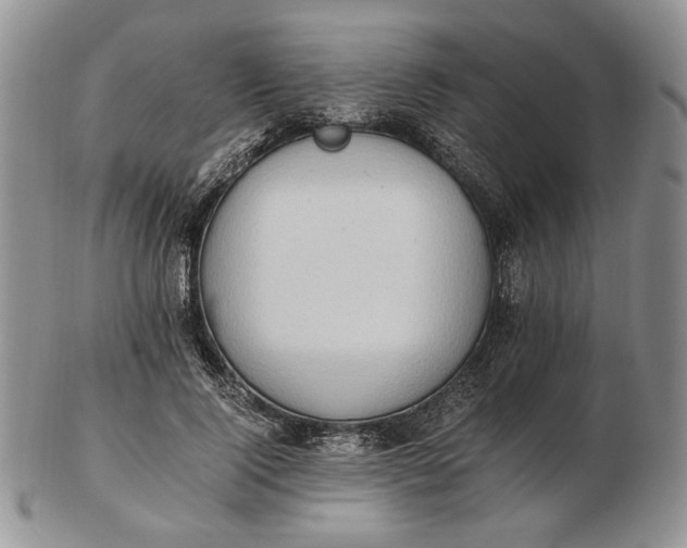 X0000102760740200809021007