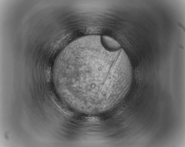 X0000102760741200809021007