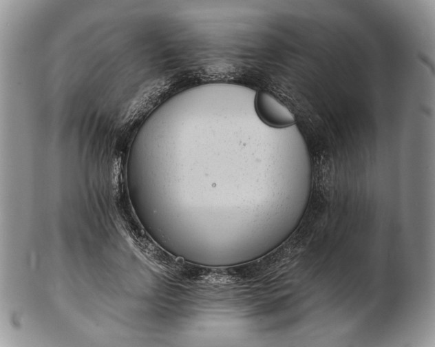 X0000102760742200809021007