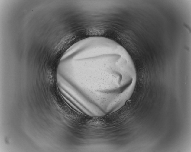 X0000102760743200809021007