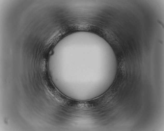 X0000102760744200809021007