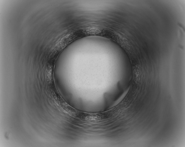 X0000102760745200809021007