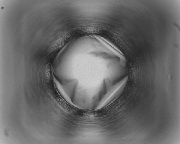 X0000102760746200809021007