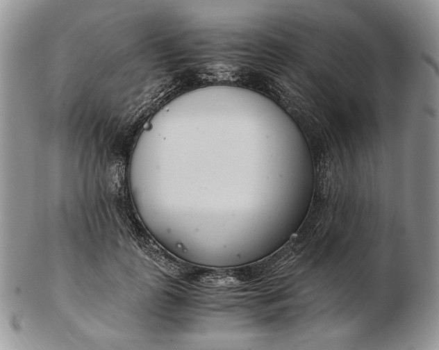 X0000102760747200809021007