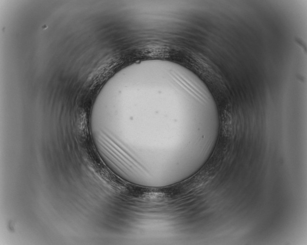 X0000102760748200809021007