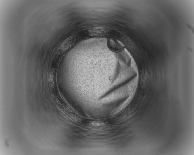 X0000102760749200809021007