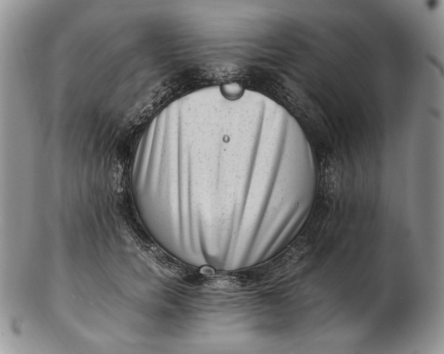 X0000102760750200809021007