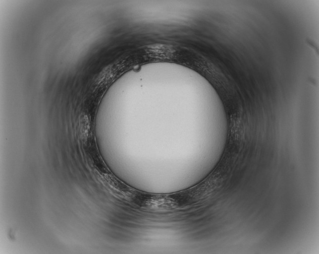 X0000102760752200809021007