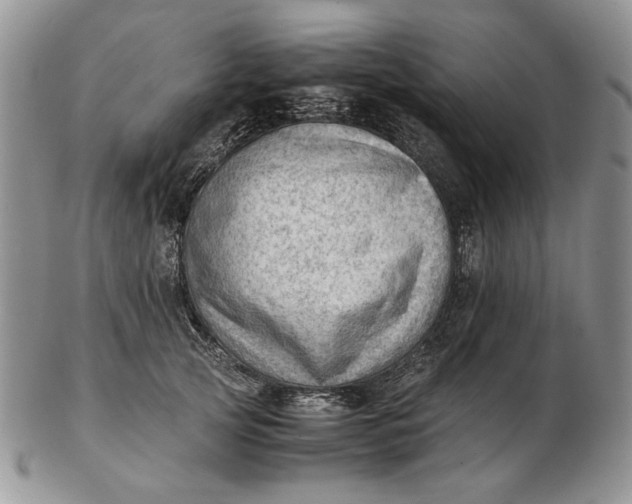 X0000102760753200809021007