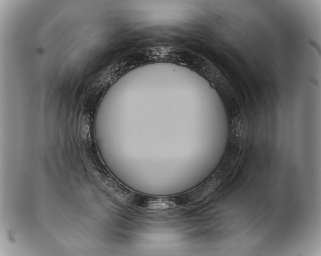 X0000102760754200809021007