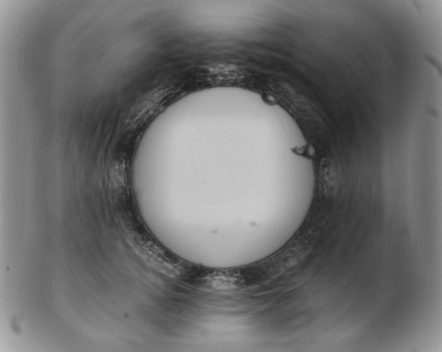 X0000102760756200809021007