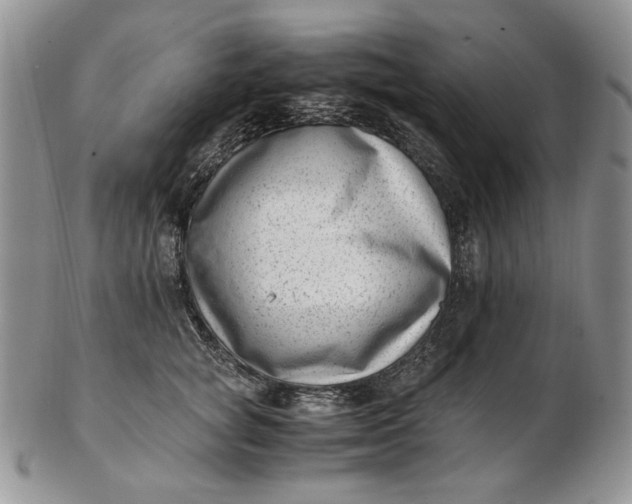 X0000102760757200809021007