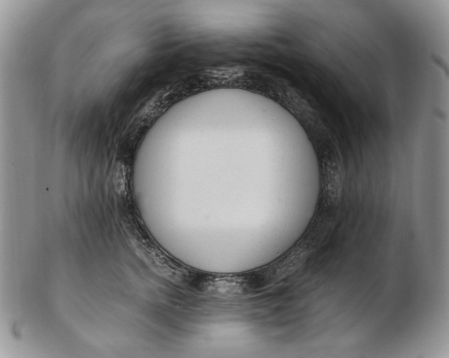 X0000102760758200809021007