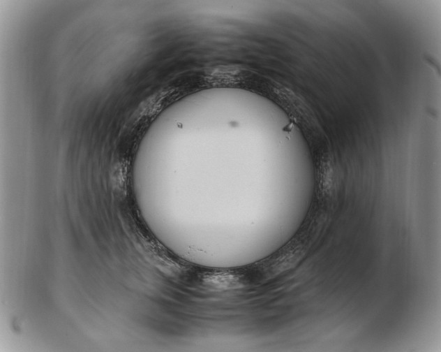 X0000102760759200809021007