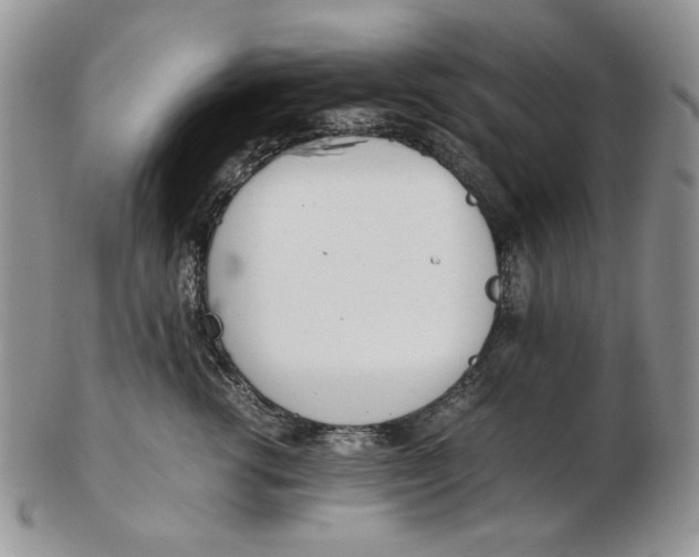 X0000102760762200809021007