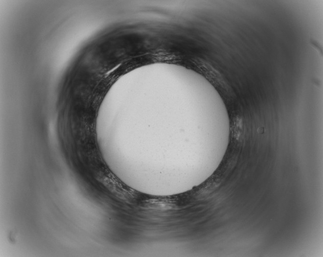 X0000102760763200809021007