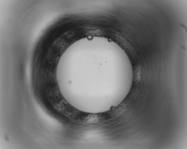 X0000102760764200809021007