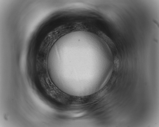 X0000102760765200809021007