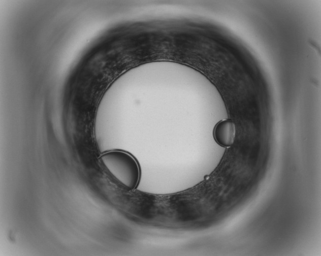 X0000102760766200809021007