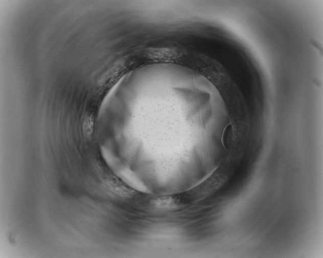 X0000102760767200809021007