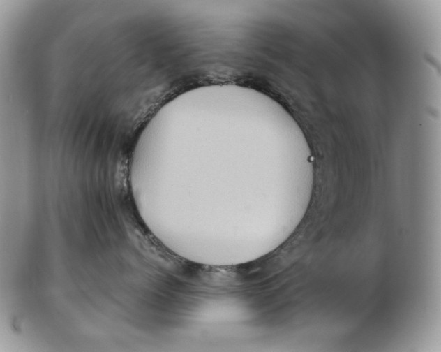 X0000102760768200809021007