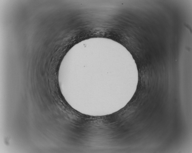 X0000102760769200809021006