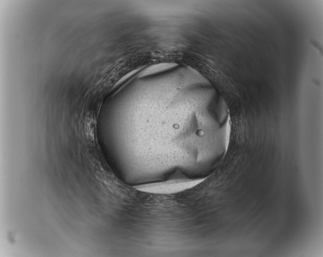 X0000102760770200809021006