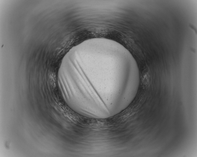 X0000102760772200809021006