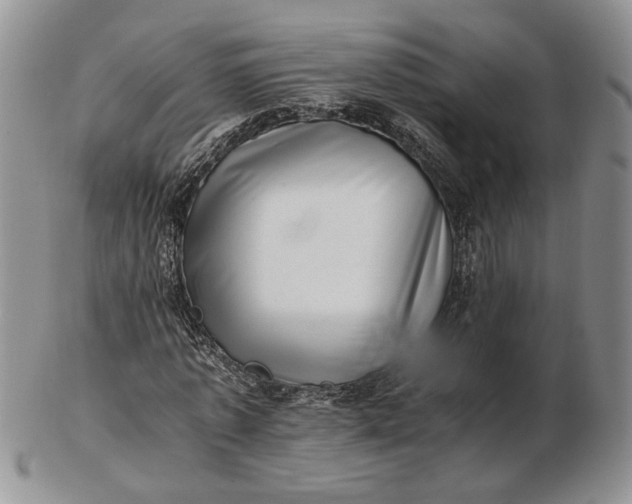 X0000102760773200809021006