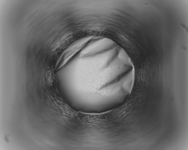 X0000102760774200809021006