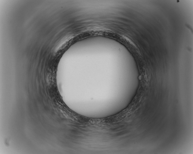 X0000102760775200809021006